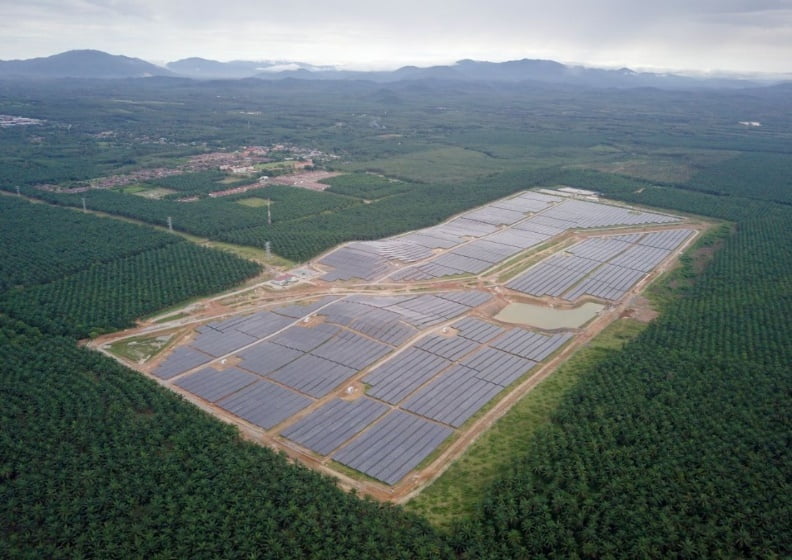 bukit-selambau-plant.jpg